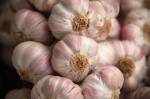 Bunches of fresh garlic.