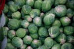 Brussles Sprouts