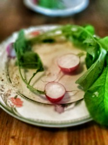 Radishes, radish greens and compound butter. 